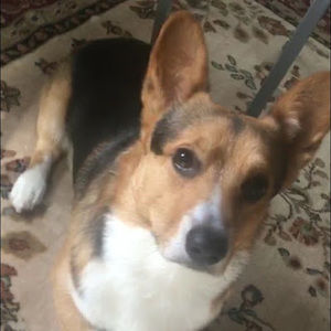 Meet your Posher, Annika